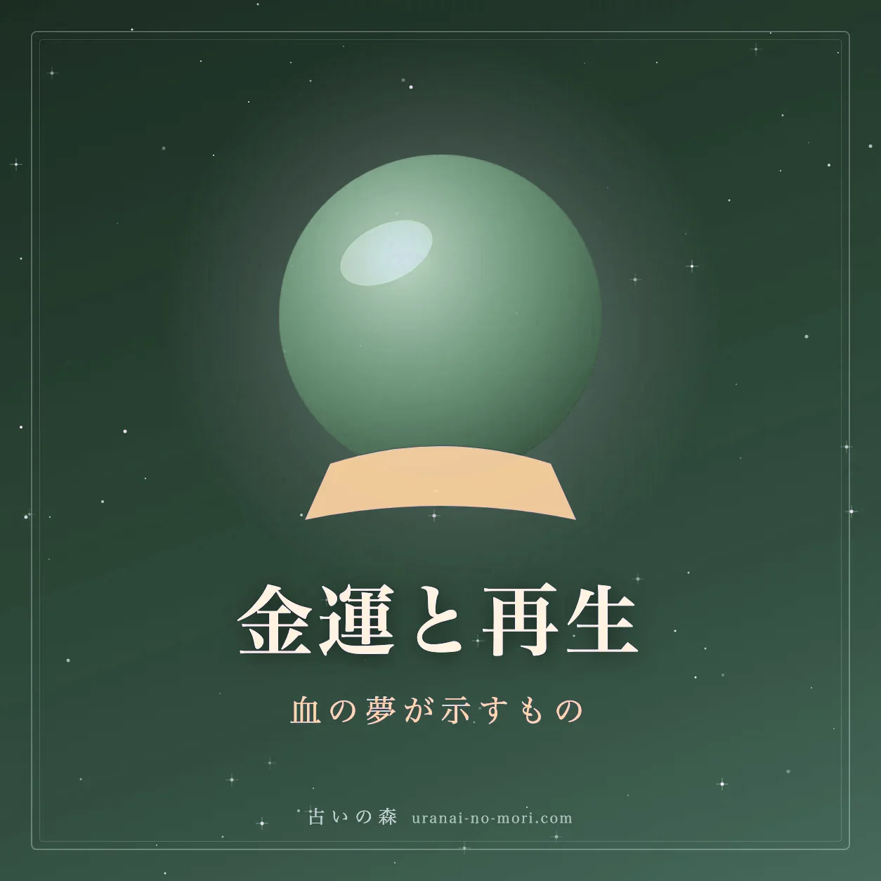 赤いバラの花びらと朝日のやわらかな光のイメージ