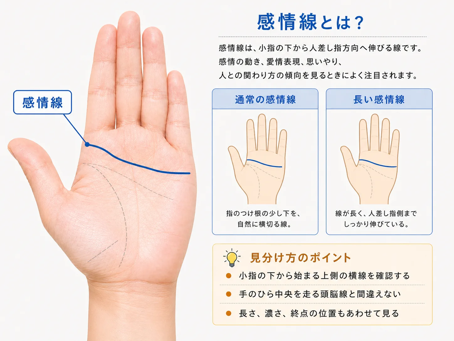 手相 ソロモンの環