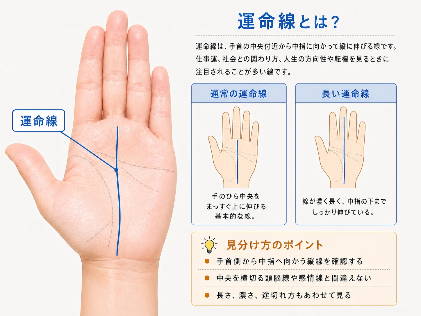運命線の見方と特徴を解説した図解
