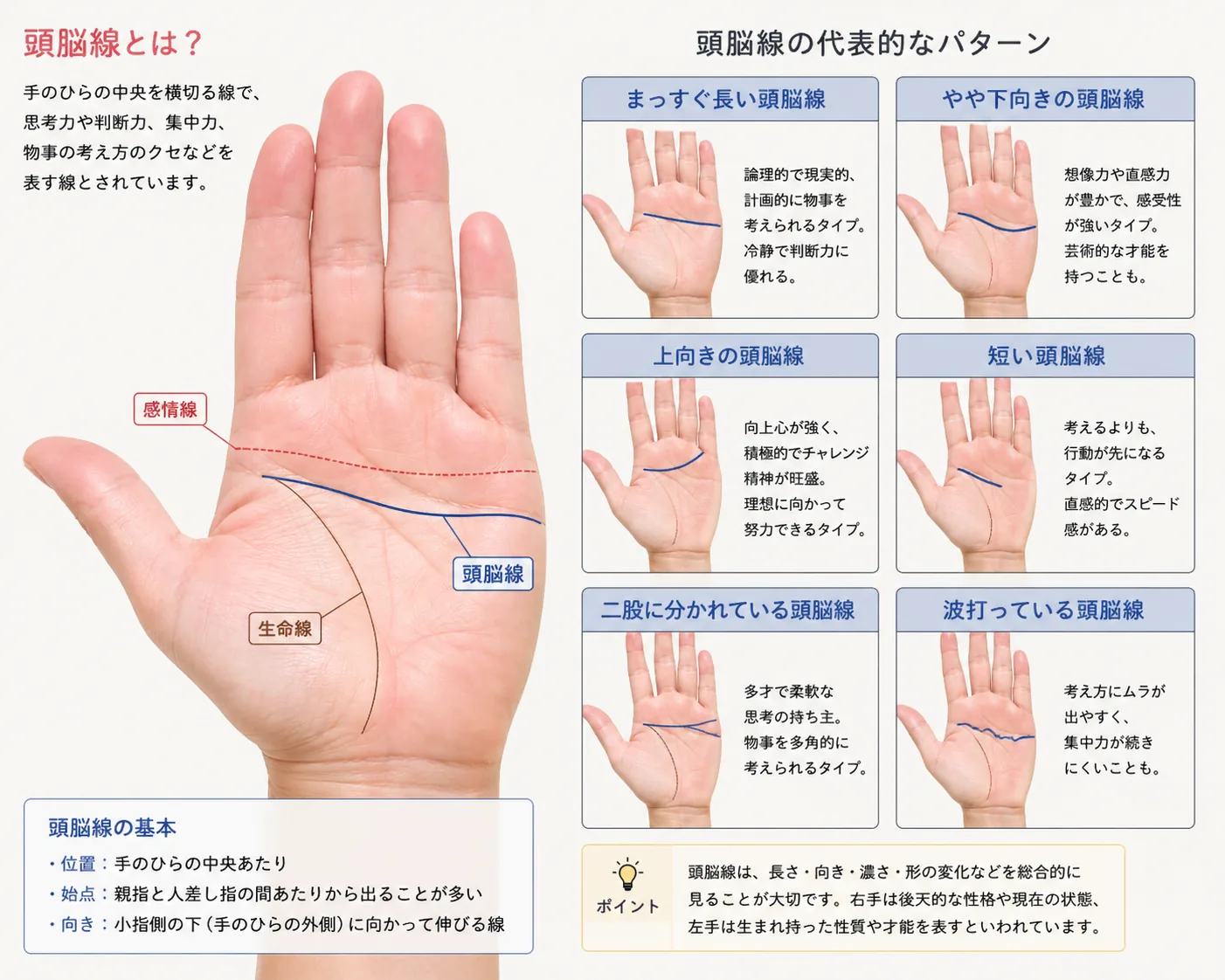 頭脳線の見方と特徴を解説した図解