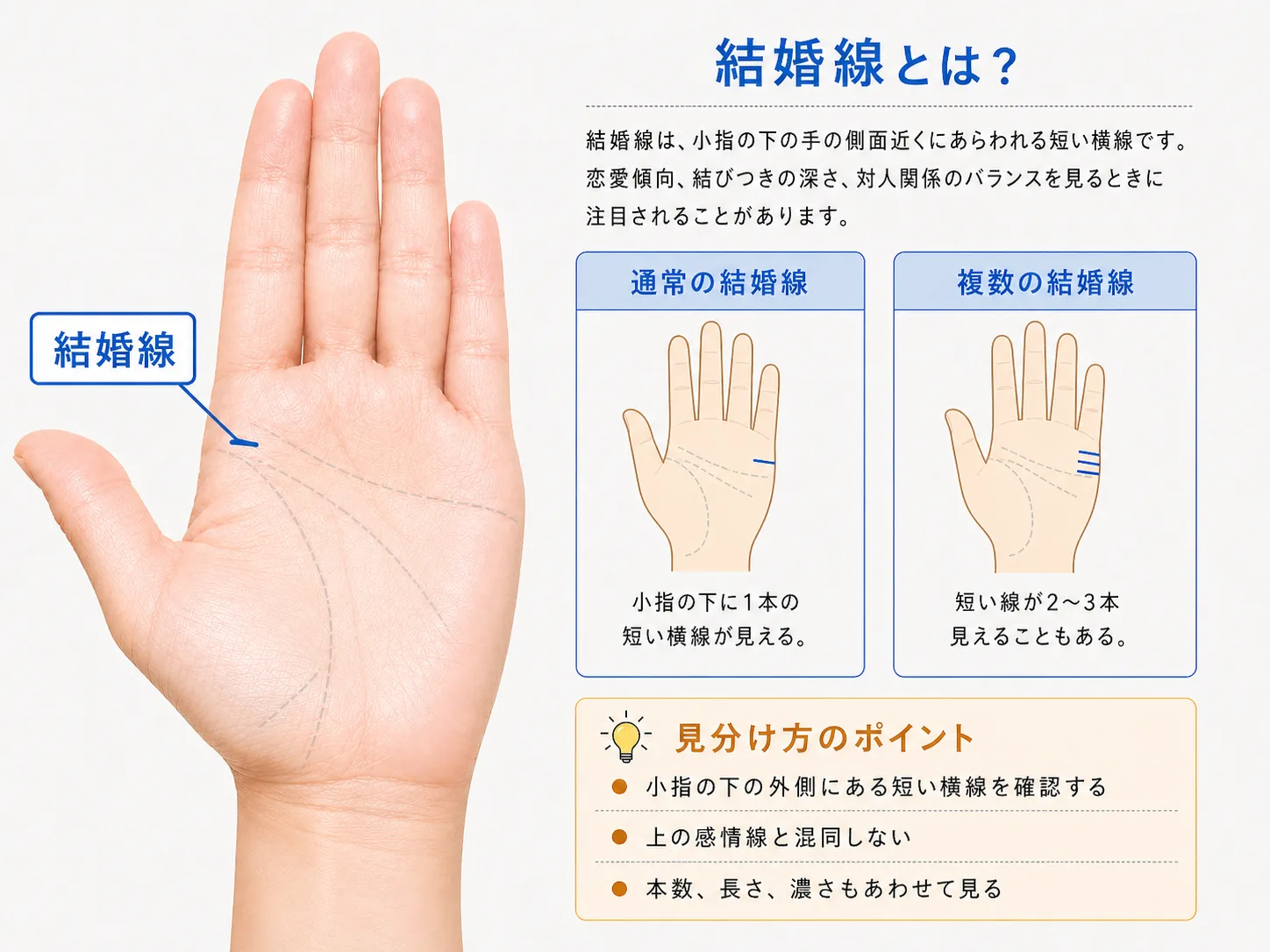 結婚線の見方と特徴を解説した図解