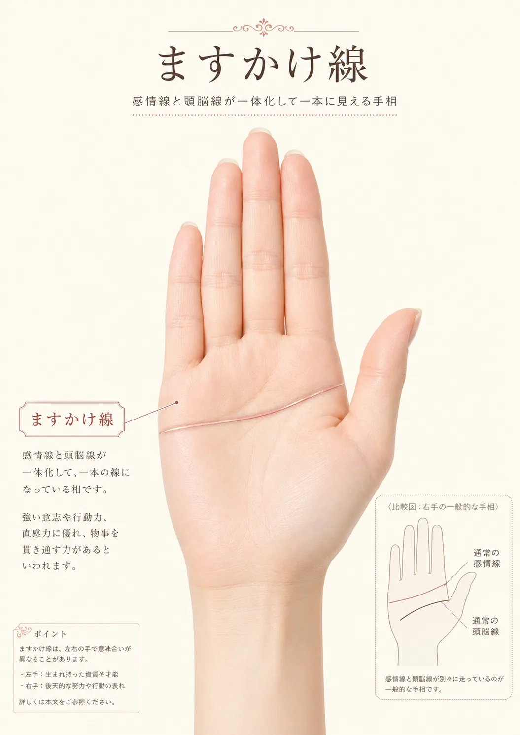 左手のますかけ線の見方と特徴を解説した診断図