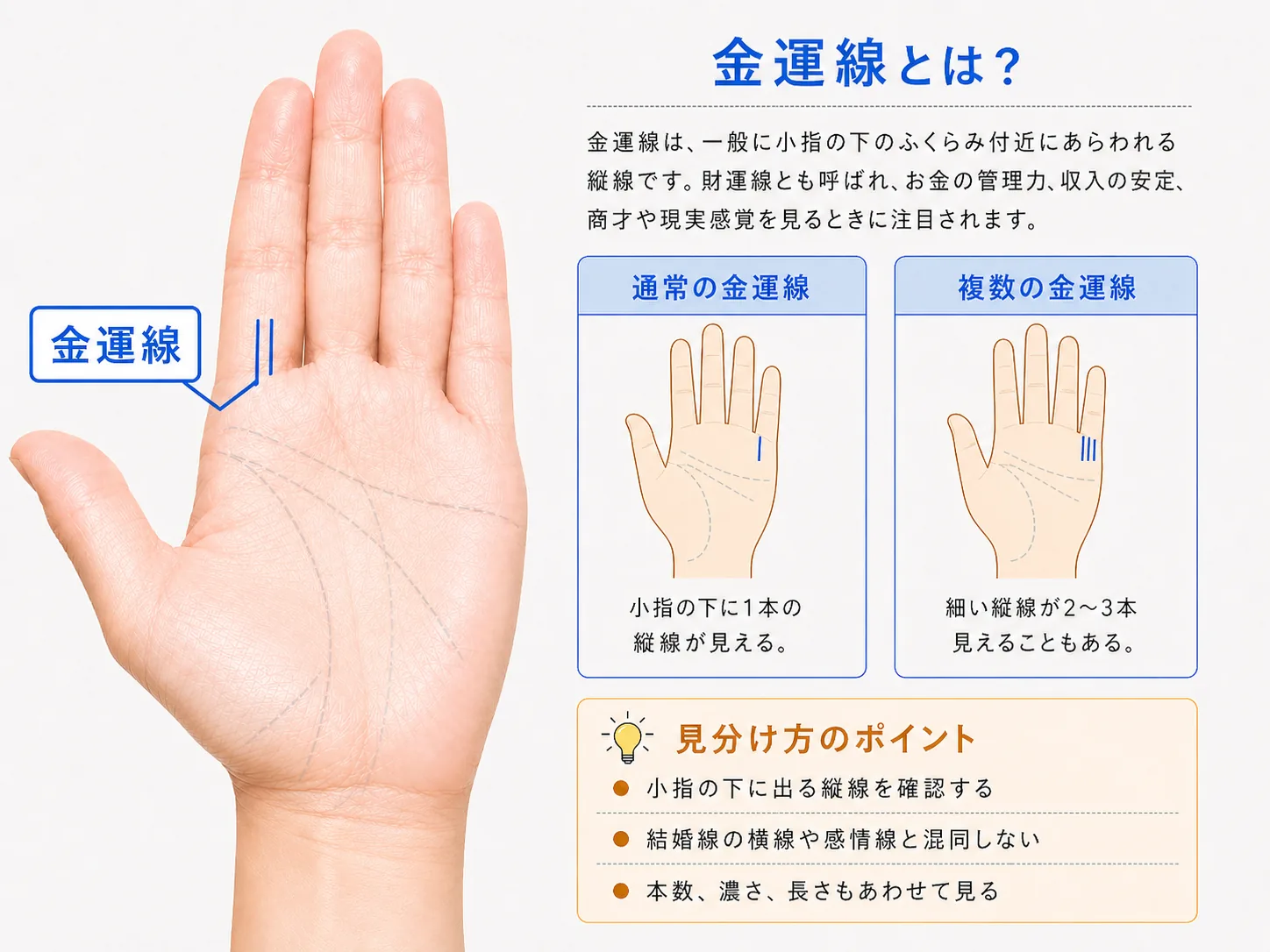 金運線の見方と特徴を解説した図解