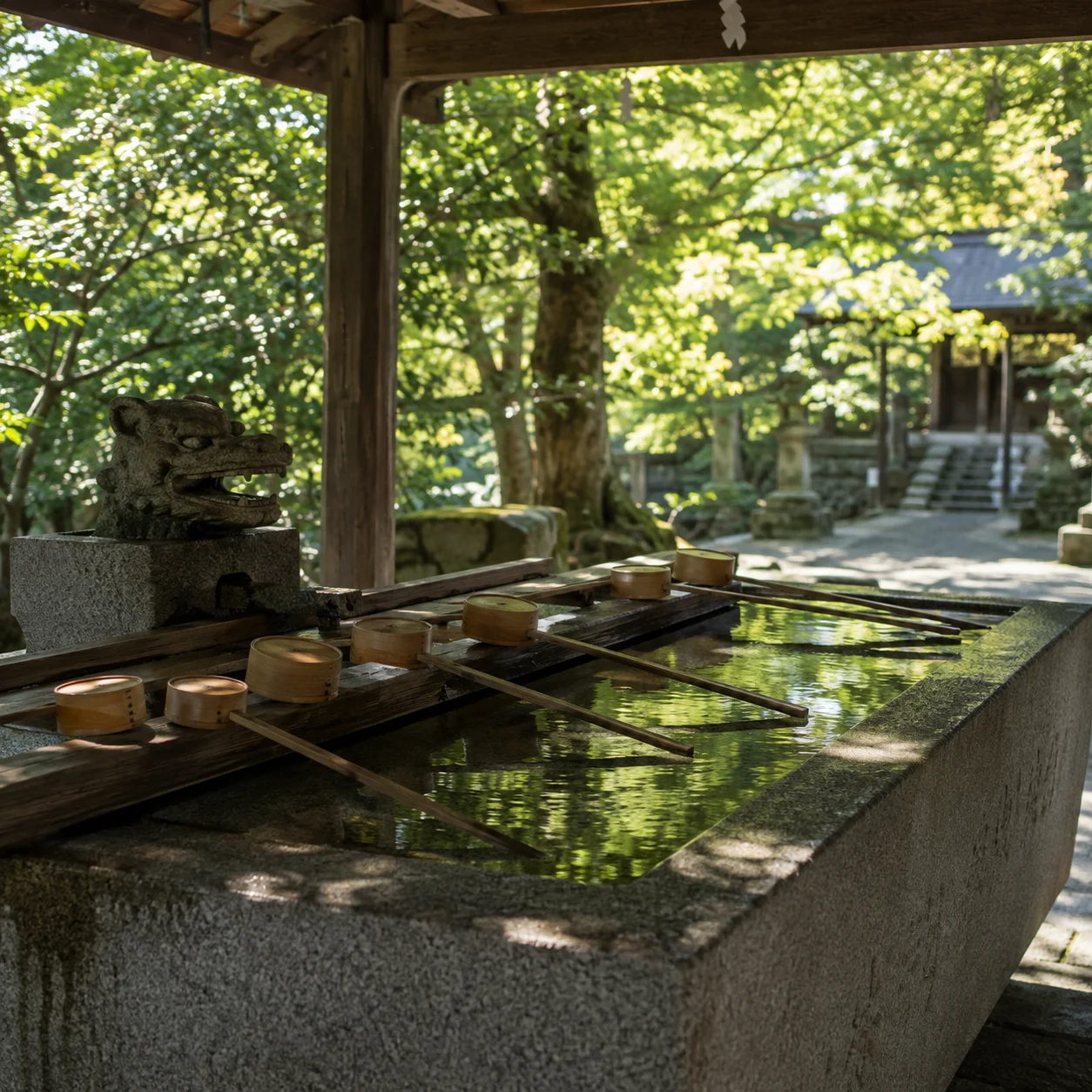 木漏れ日が差し込む神社の手水舎。石の水盤に水が満ち、木の柄杓が並んでいる