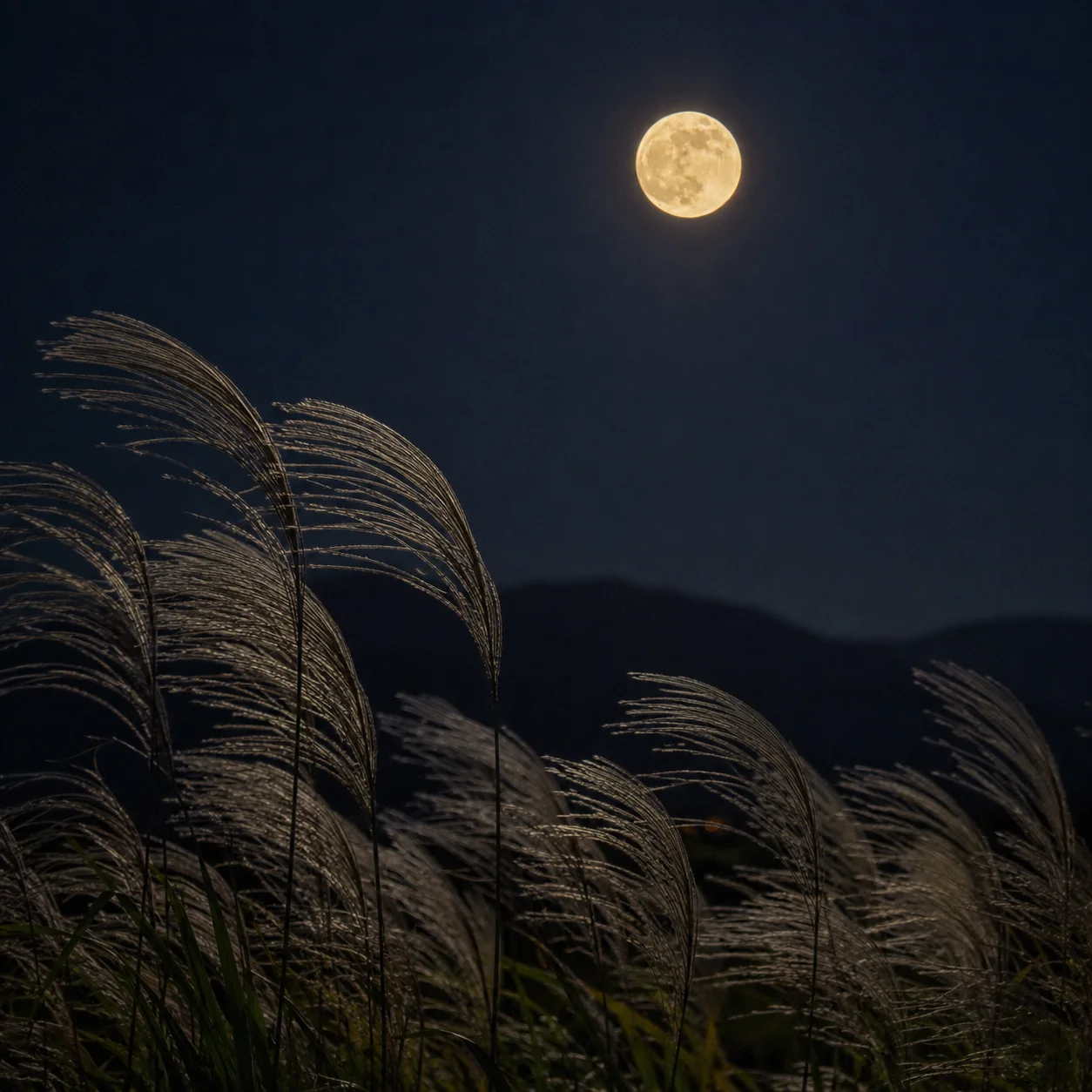 秋の夜空に高く昇ったまるい満月と、手前で風に揺れるススキの穂。遠くに山の稜線が見えている