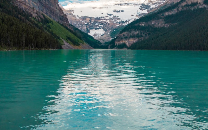 彼氏の気持ちタロット